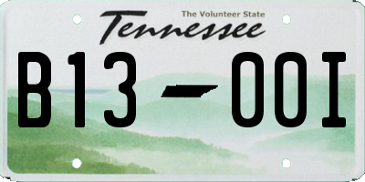 TN license plate B1300I