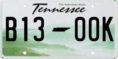 TN license plate B1300K