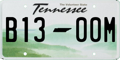TN license plate B1300M
