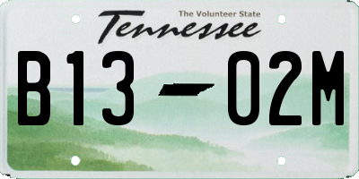 TN license plate B1302M