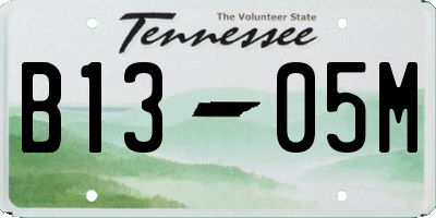 TN license plate B1305M