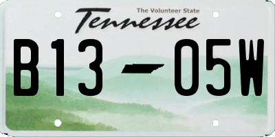 TN license plate B1305W