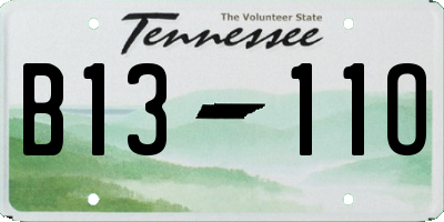 TN license plate B1311O