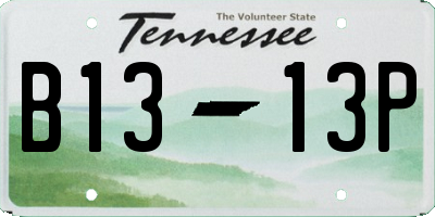 TN license plate B1313P