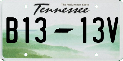 TN license plate B1313V