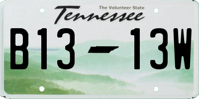 TN license plate B1313W