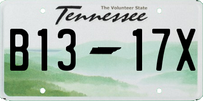 TN license plate B1317X