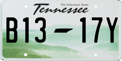 TN license plate B1317Y