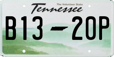 TN license plate B1320P