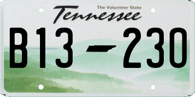 TN license plate B1323O