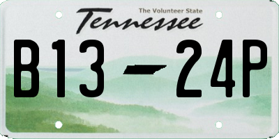 TN license plate B1324P