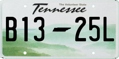 TN license plate B1325L