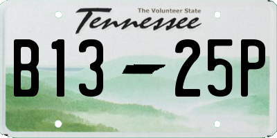 TN license plate B1325P