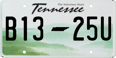 TN license plate B1325U