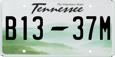 TN license plate B1337M