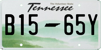 TN license plate B1565Y
