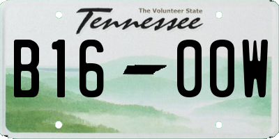 TN license plate B1600W