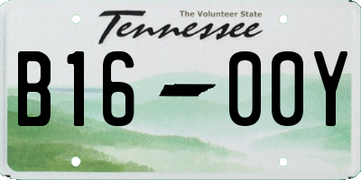 TN license plate B1600Y