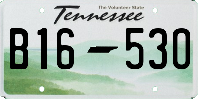 TN license plate B1653O