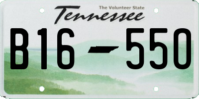 TN license plate B1655O