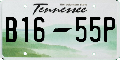 TN license plate B1655P