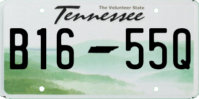 TN license plate B1655Q