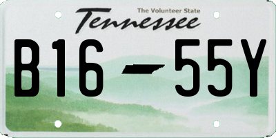 TN license plate B1655Y