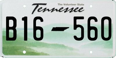TN license plate B1656O