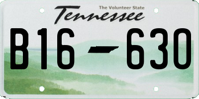 TN license plate B1663O