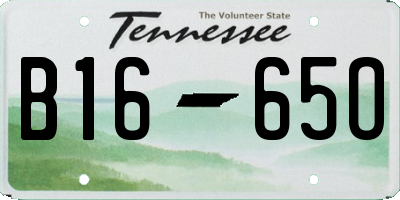 TN license plate B1665O