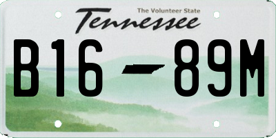 TN license plate B1689M