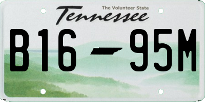 TN license plate B1695M
