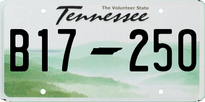 TN license plate B1725O