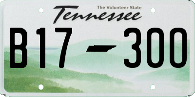 TN license plate B1730O