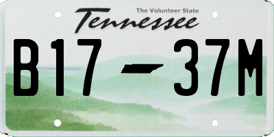 TN license plate B1737M