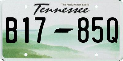 TN license plate B1785Q