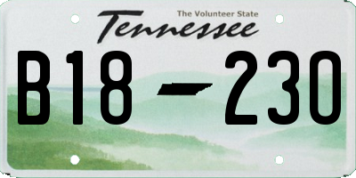 TN license plate B1823O