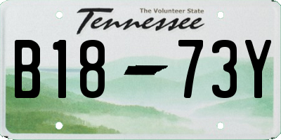 TN license plate B1873Y