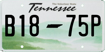 TN license plate B1875P