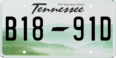 TN license plate B1891D