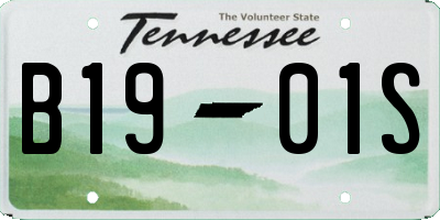 TN license plate B1901S