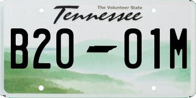 TN license plate B2001M