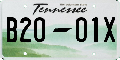 TN license plate B2001X