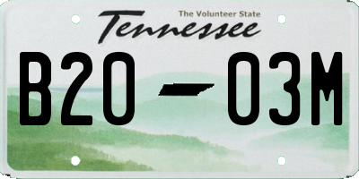 TN license plate B2003M