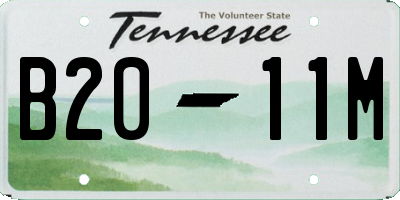 TN license plate B2011M
