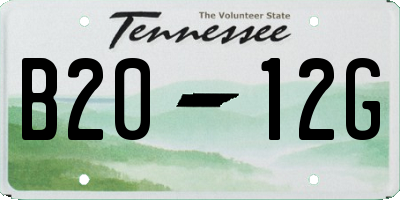 TN license plate B2012G