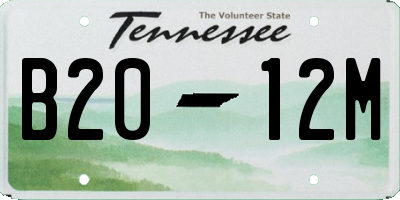 TN license plate B2012M