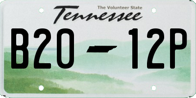 TN license plate B2012P