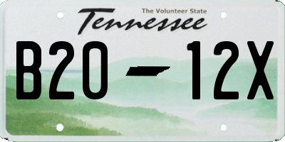 TN license plate B2012X