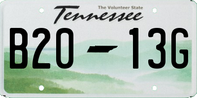 TN license plate B2013G